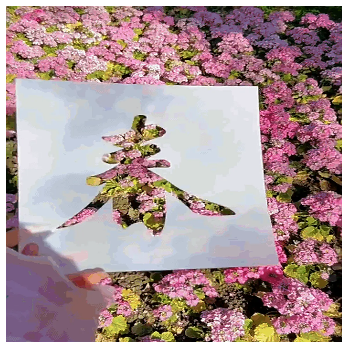 Photo Booth Backdrop Decoration Hollow Cutout Summer Winter Fall Season Initial Test Scene Props Photography Accessories Atmosphere Photography