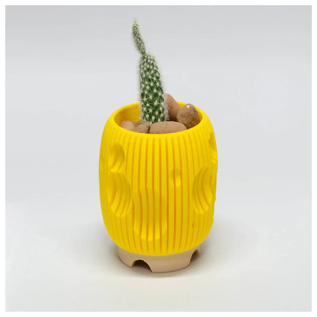 Cactus Potting Soil Cheese Potting Mix for Cacti Improves Root Growth Soil for Cactus Plants