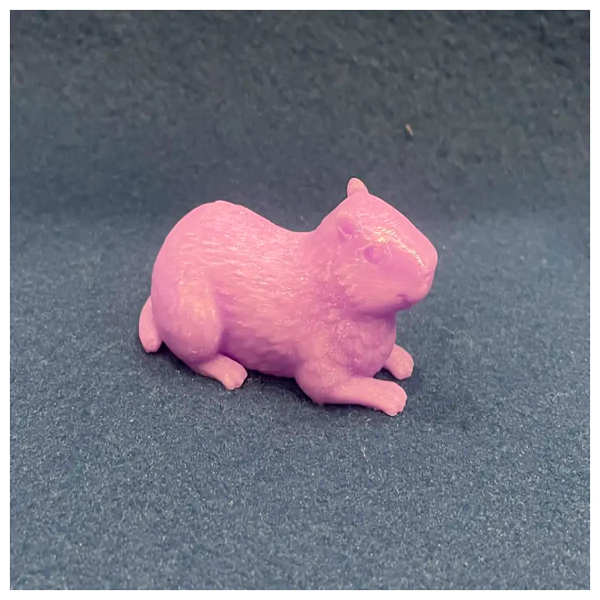 Capybara Model Toy Cute Small Pet Model Desk Decoration Collectible Capybara Accessories Mini Model