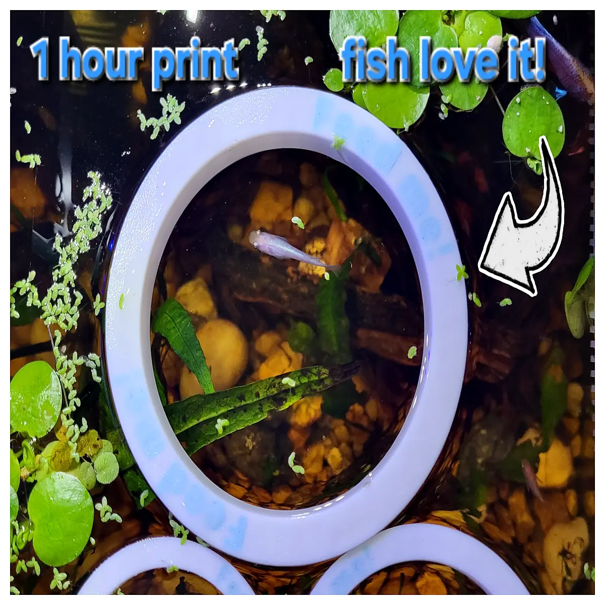 Floating Fish Feeder Adjustable Automatic 1 Hour Print Aquarium Fish Feeding System Expandable Feeder