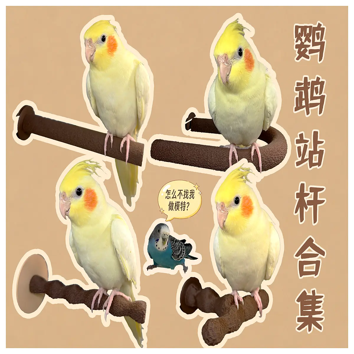 Parrot Stand Pole Set Fuzzy Grip Anti Slip Bird Cage Accessories Bird Toys Standing Support Enhances Perching Comfort