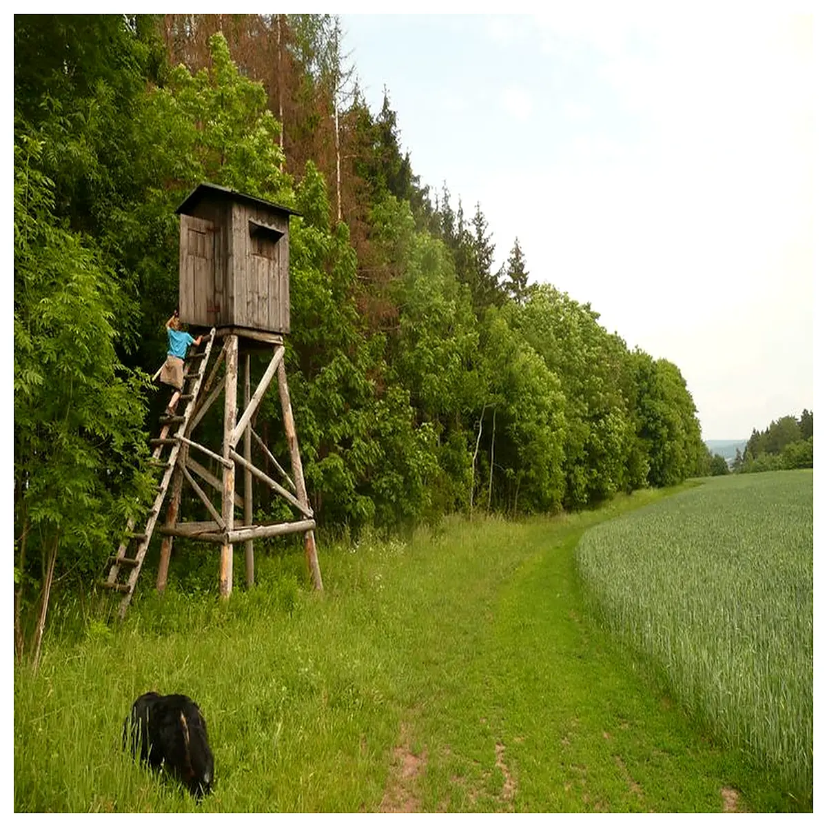 H0 Hunting Cabin Model Outdoor Scene Diorama Model Hunting Accessory Display Decoration