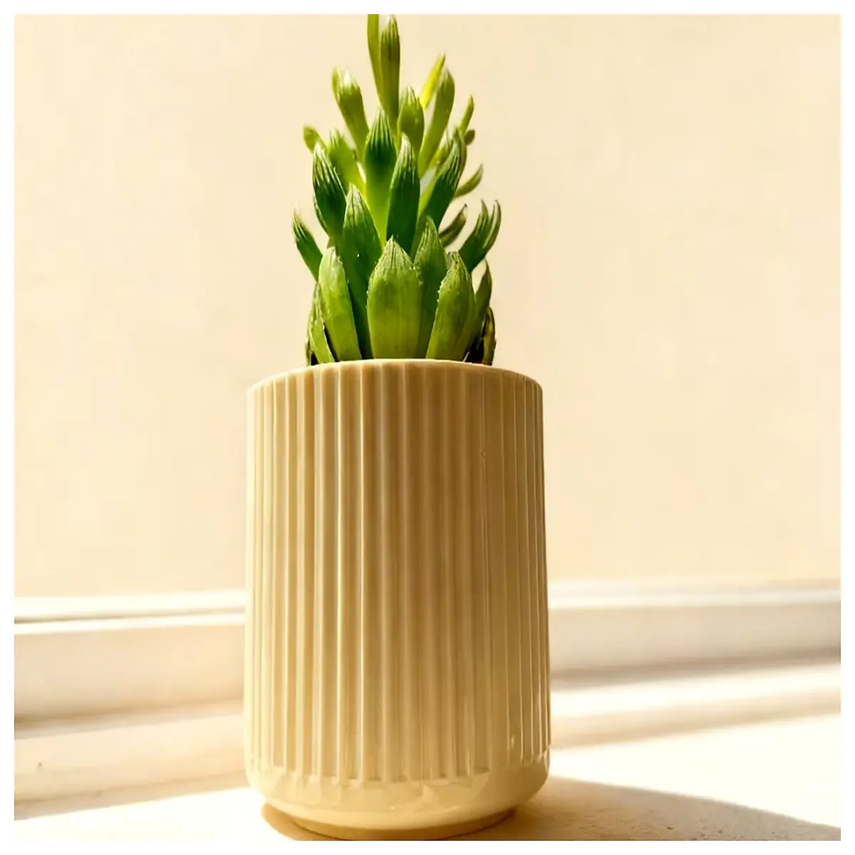 Minimalist Vertical Stripe Flower Pot Floor Standing Indoor Decoration Flower Stand Succulent Plant Pot Vertical Garden Green Plant Pots