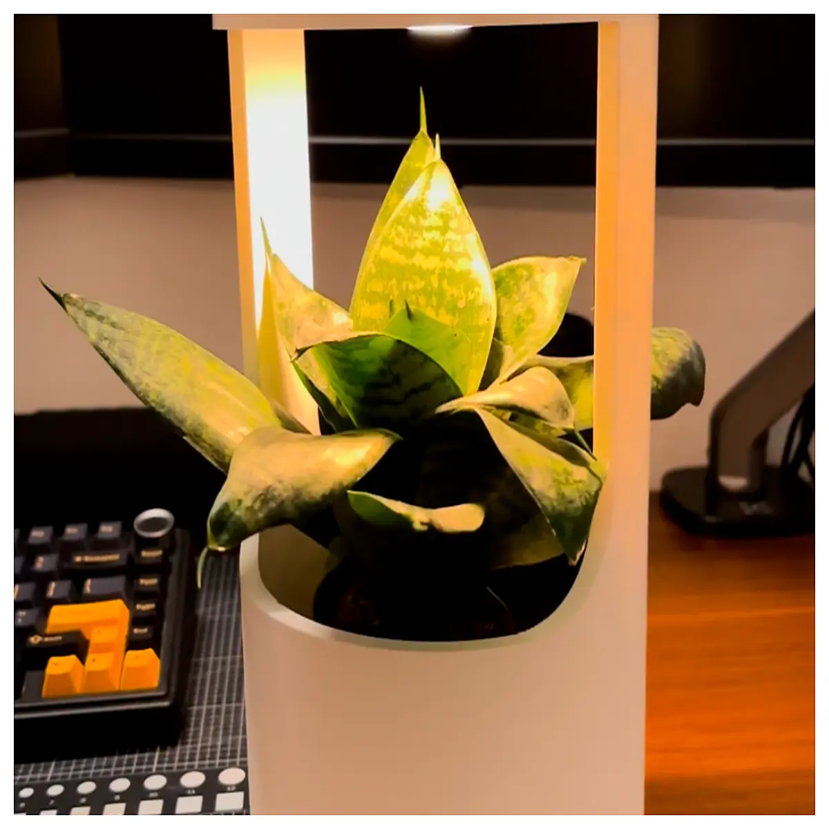 Plant Grow Flower Pot Simple Indoor Lighting Promote Growth Pot Cultivation Equipment
