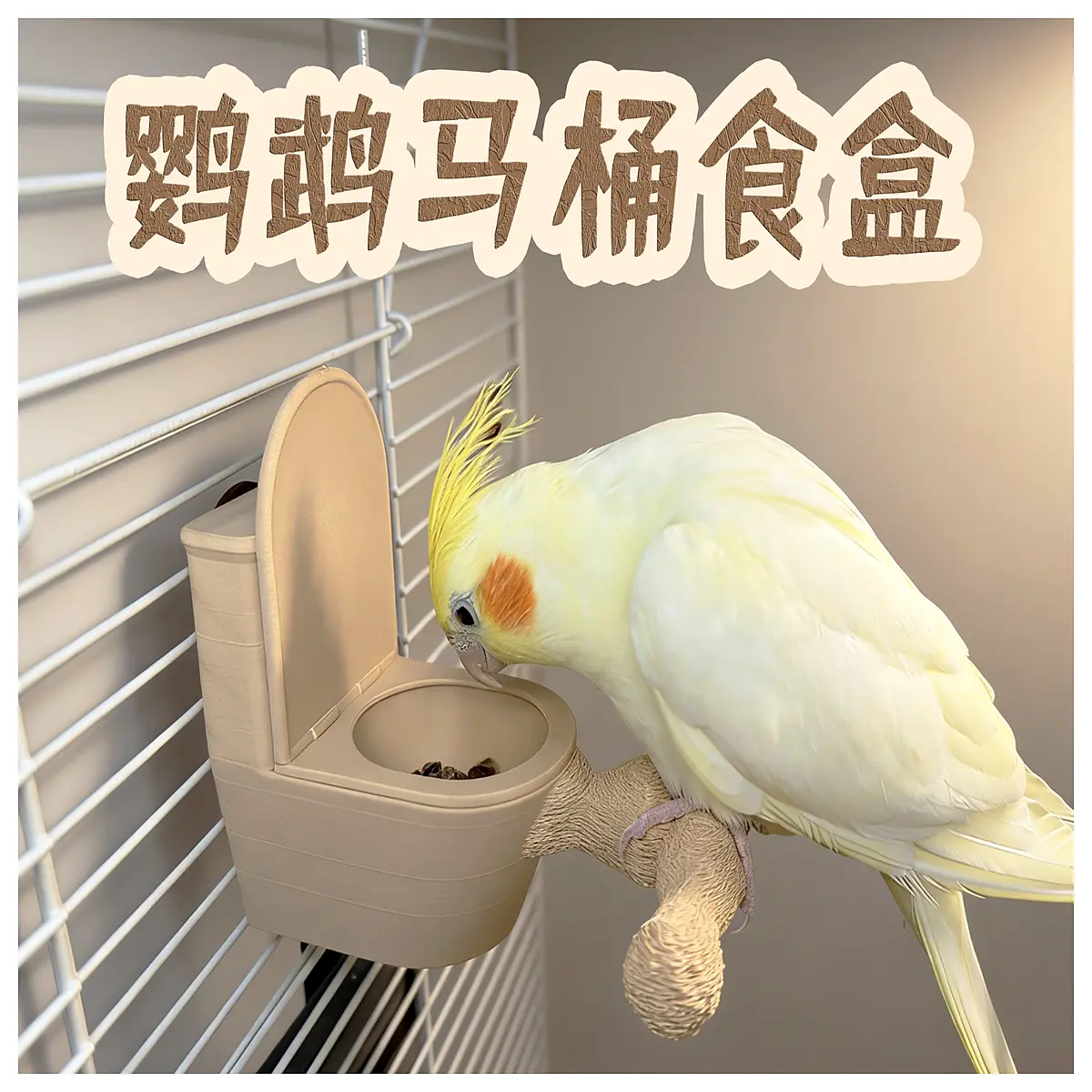 Parrot Food Box Automatic Feeder Bird Seed Dispenser Parrot Food Container Smart Feeder Bird Food Supply