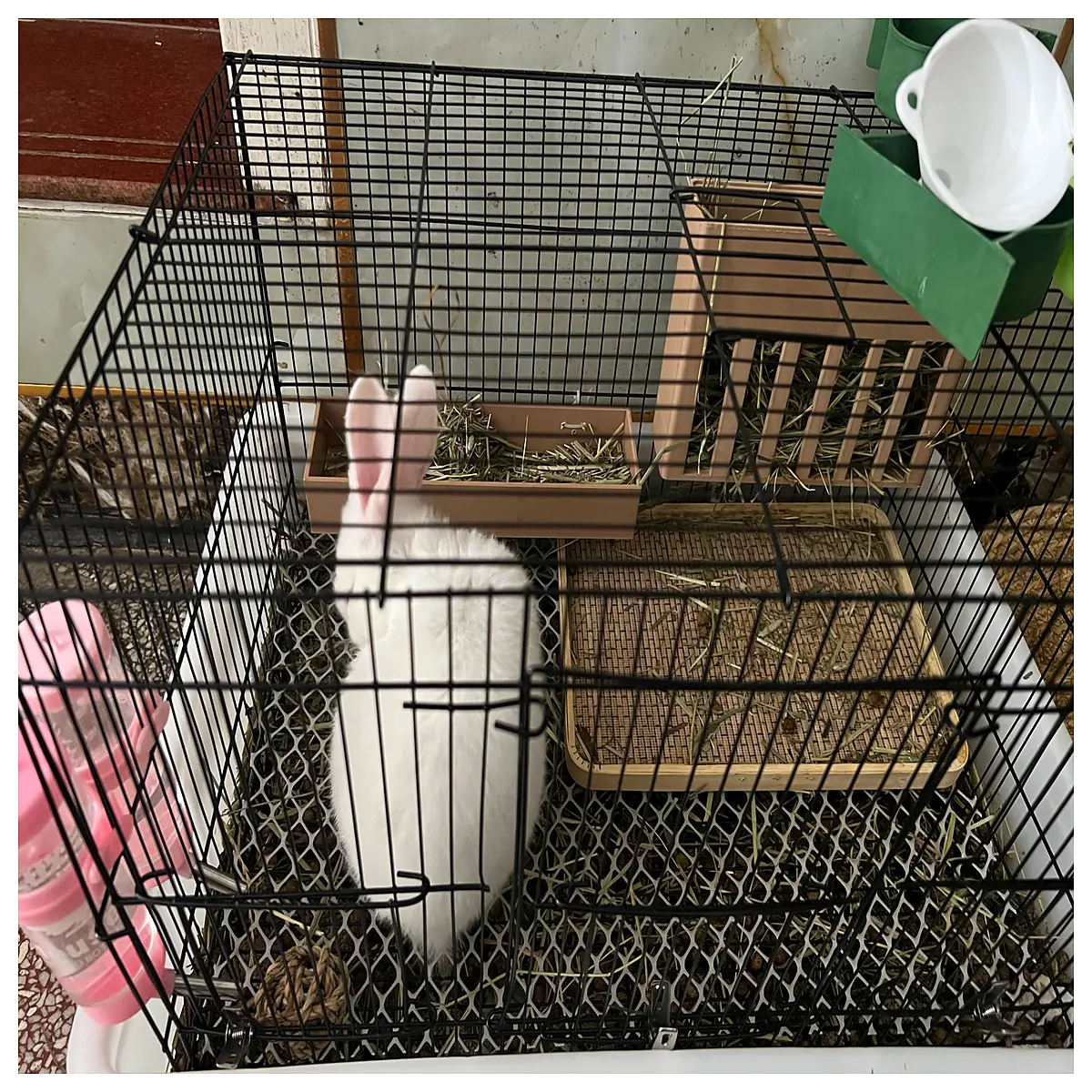 Hamster Rabbit Food Box Large Capacity Feeder Bowl Pet Food Container Crumbles Hay Feeder Automatic Feeder Nutrition Box