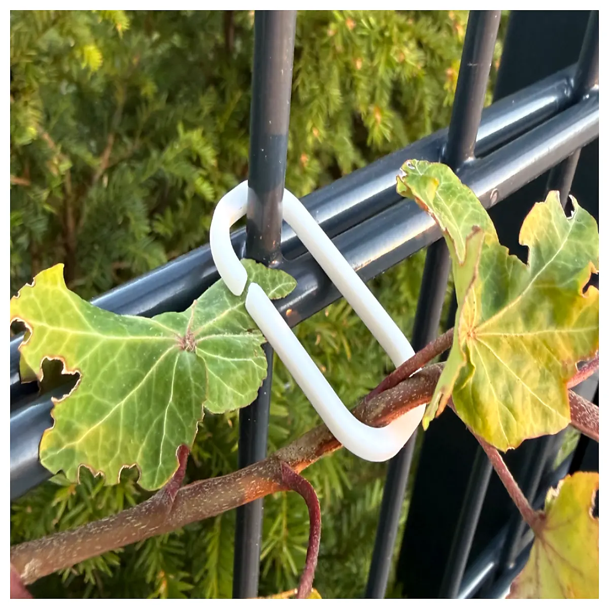 Easy Plant Twine Clips Plant Binding Clips Garden Twisting Tool Simple Plant Ties Plant Wrapping Accessories