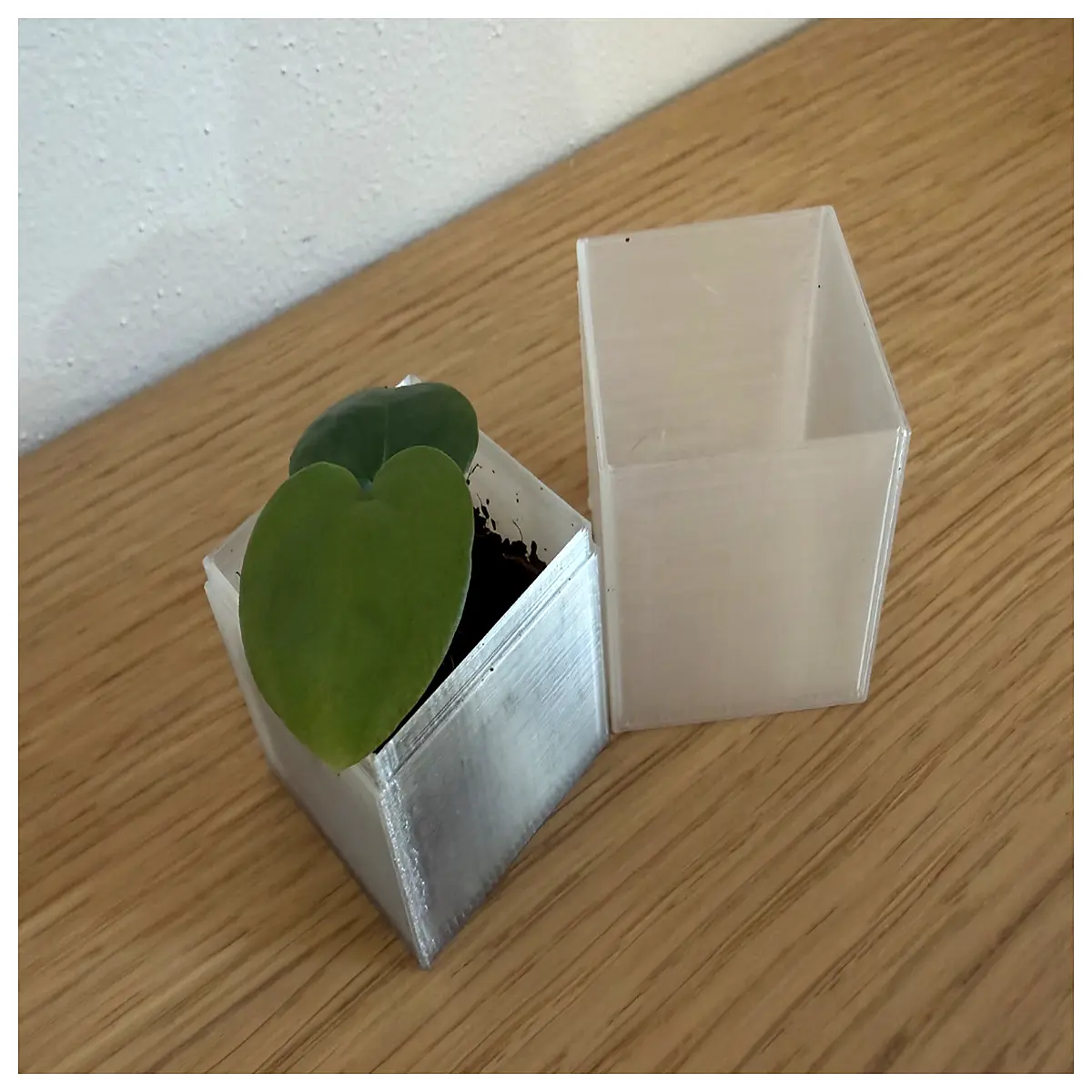 Covered Seed Starter Box Mini Greenhouse Indoor Planting Container Easy to Use for Vegetable Fruit Seeds Seedling Tray