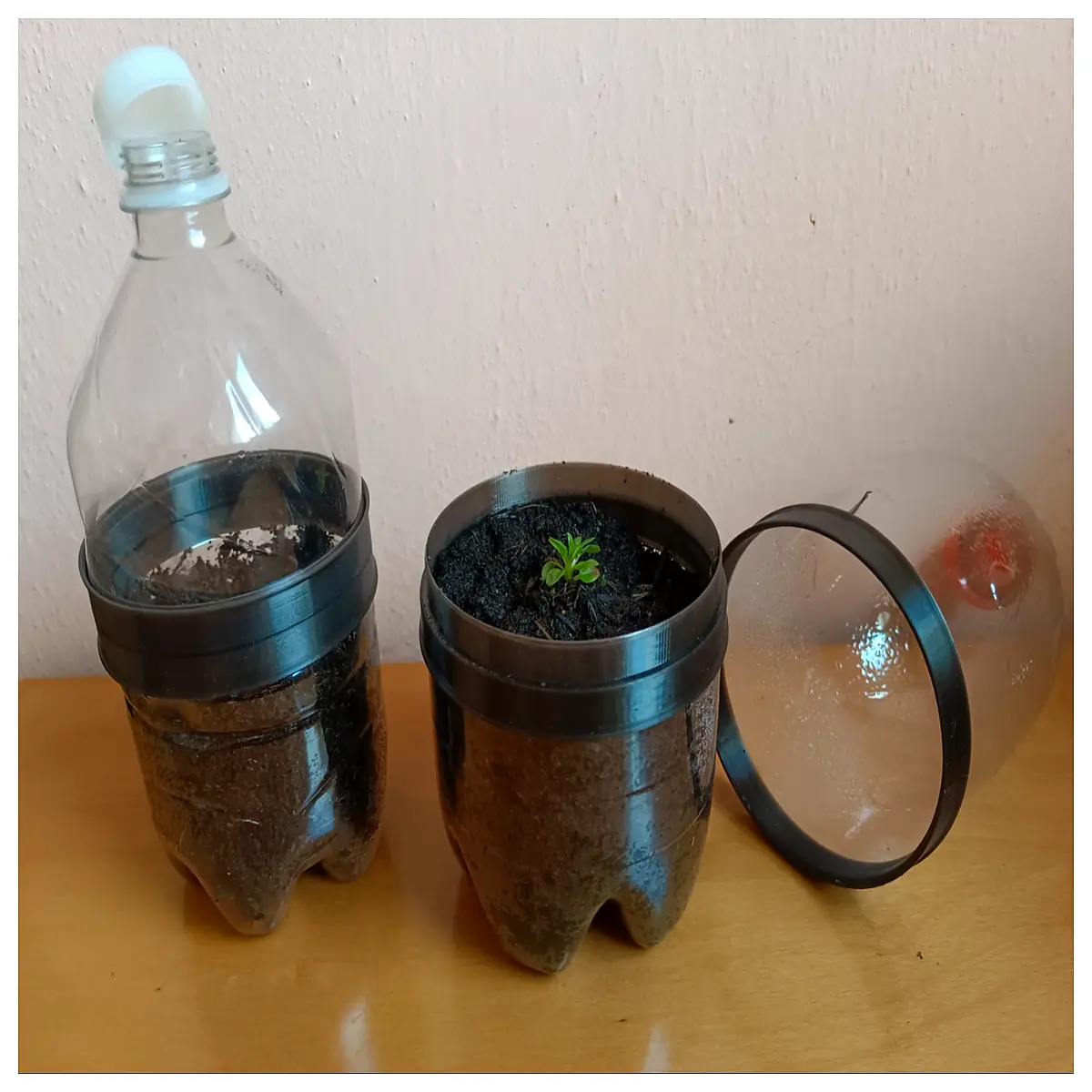 Mini Greenhouse Seed Starting Plant Propagation Box Indoor Seed Germination Chamber Vegetable Starter Grow System