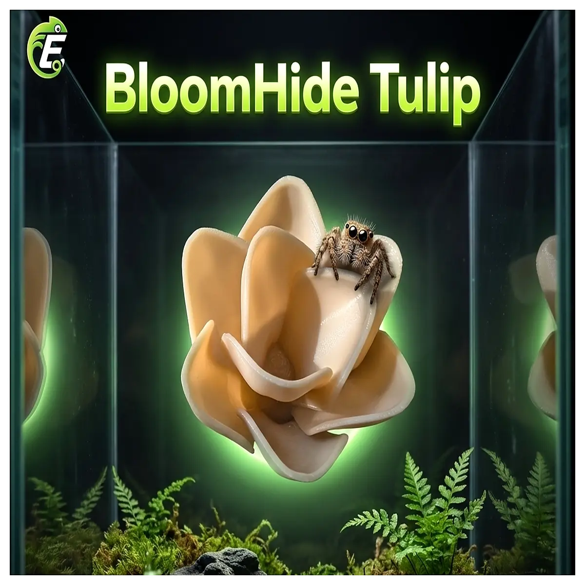 BloomHide Tulip Magnetic Spider Hideaway Toy Puzzle Toy for Kids Hidden Toy Fun Brain Teaser Game Children s Gift