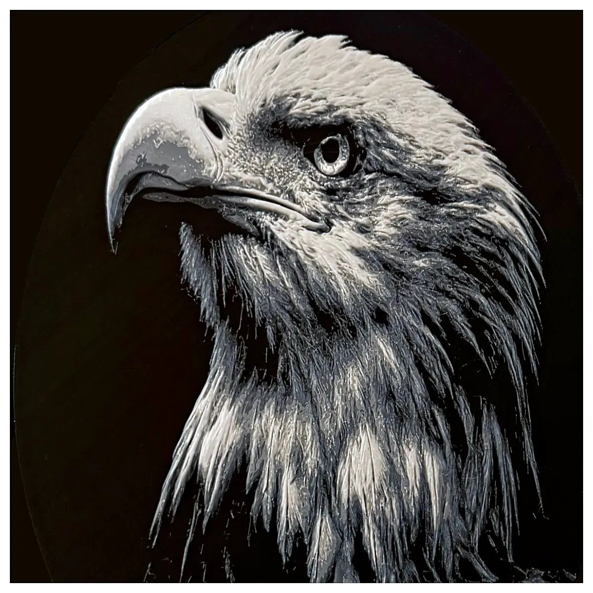 American White Chroma Canvas High Contrast Artwork Bird Decor Wall Art Nature Scene Wildlife Print