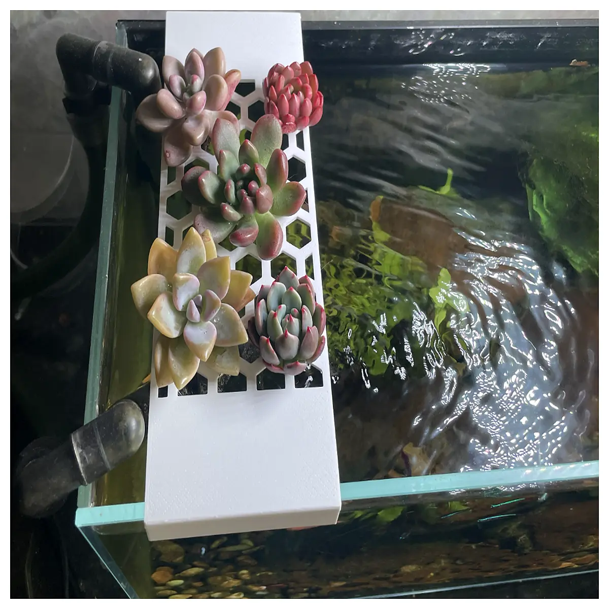 Aquarium Hydroponic Succulent Holder Shelf Desktop Mini Succulent Plant Stand Cactus Support Creative Hydroponic Display Rack Easy Installation