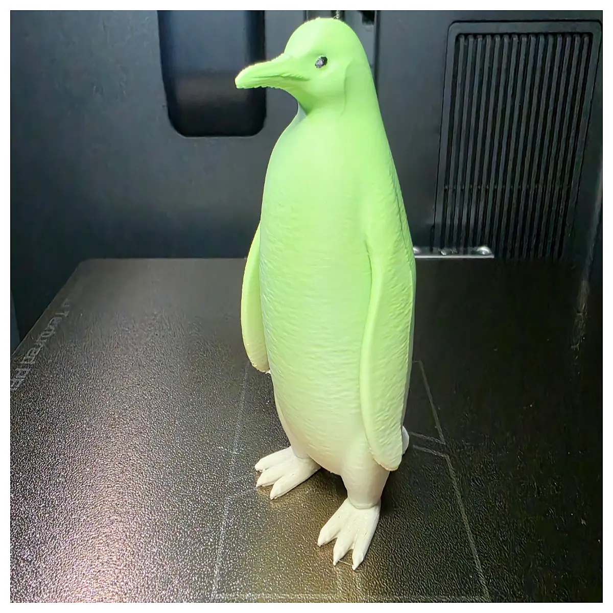Penguin Toy Model Animal Collection Kids Education Realistic Penguin Fun Puzzle Toys Learning Play