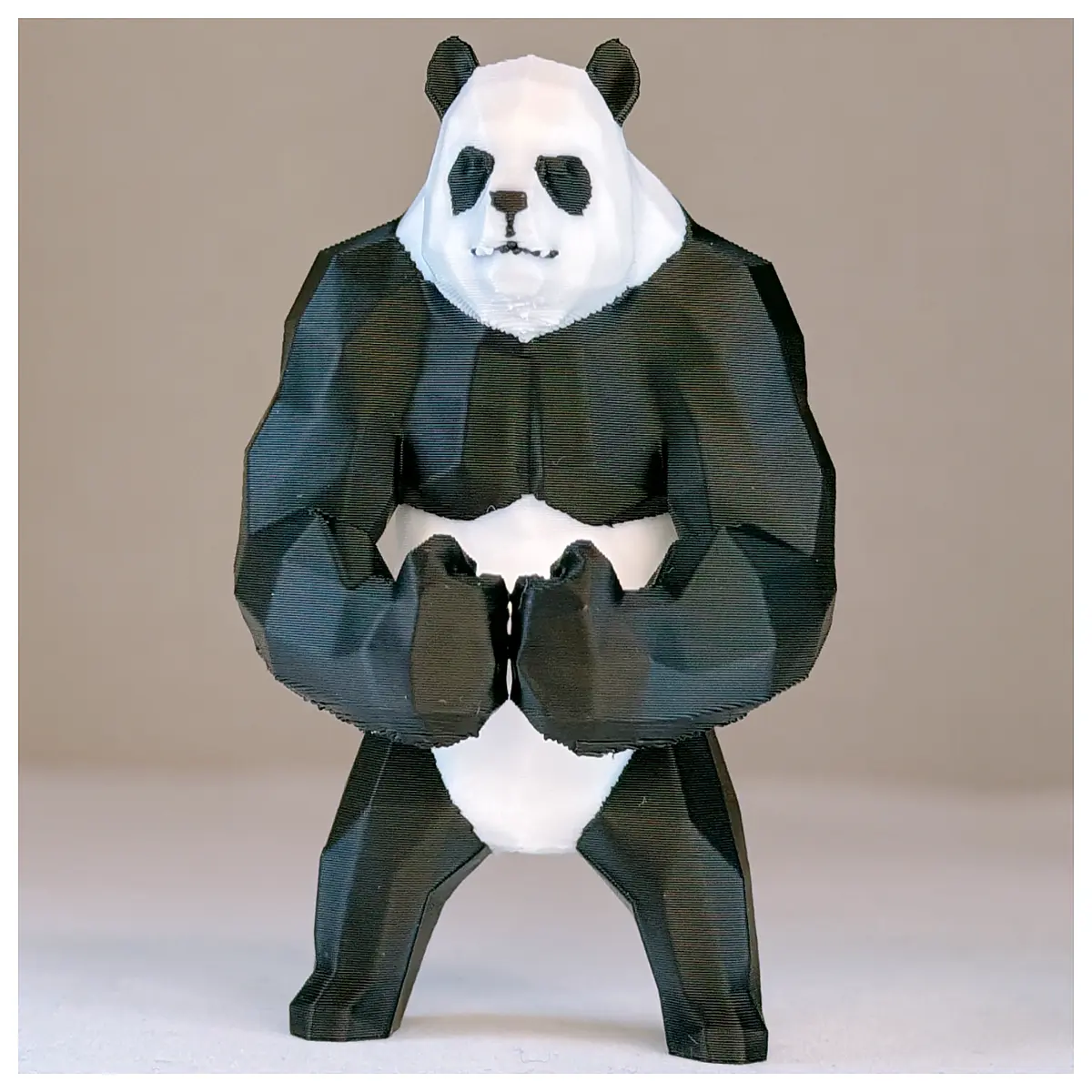 Muscle Panda Pose Fitness Exercise Tutorial Low Poly Cartoon Training Motion Muscle Workout