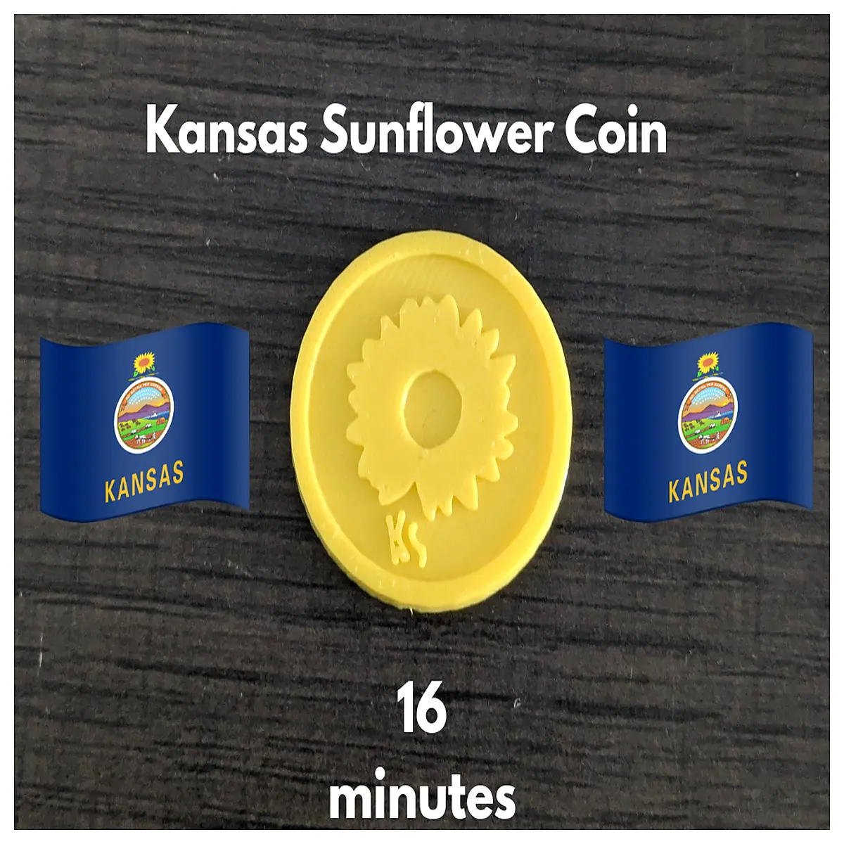 Kansas Sunflower Coin 16 Minute Print Collectible Commemorative Investment Rare Coin Stamp