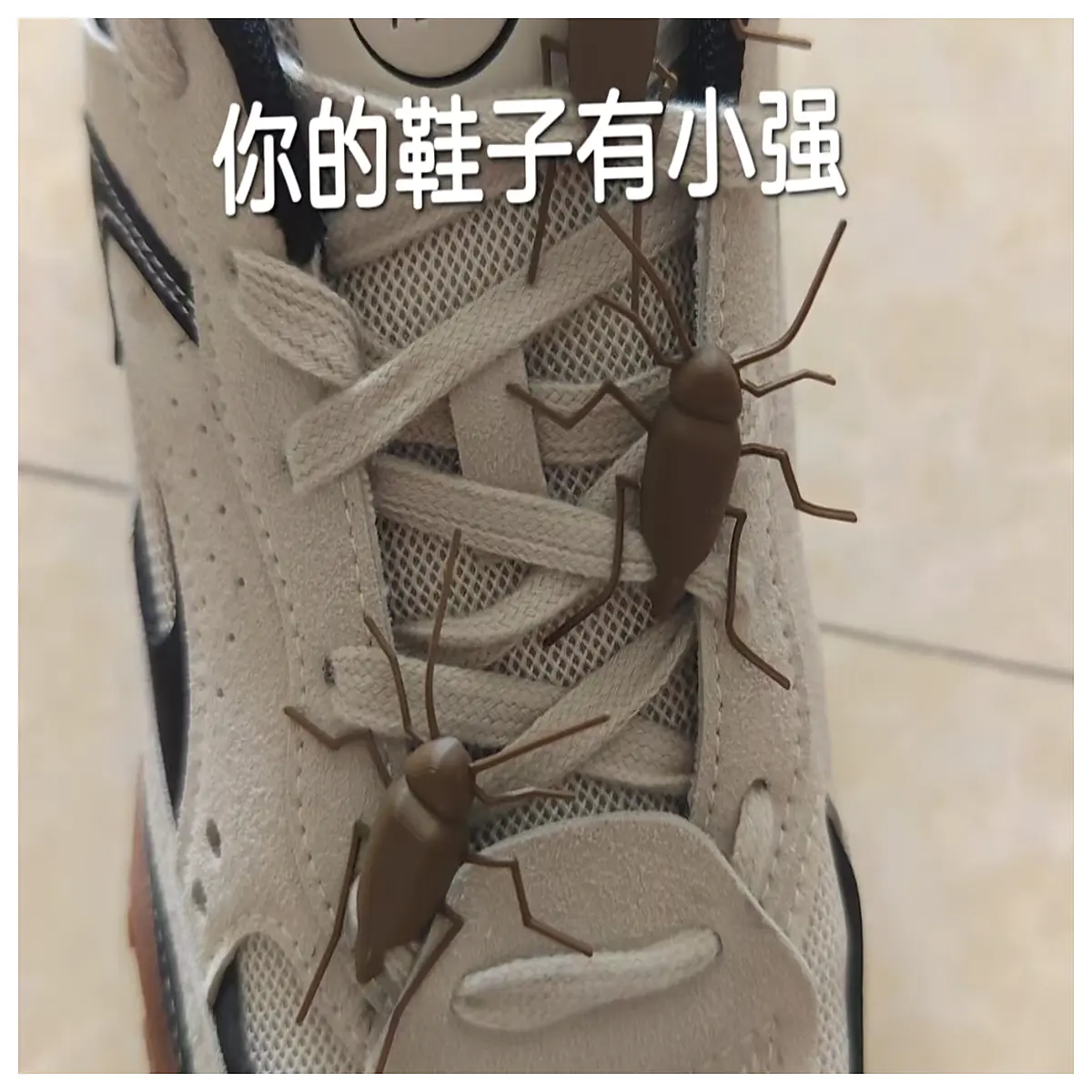 Cockroach Shoe Laces Decoration Printing Accessory Creative Cockroach Laces Home Decor Shoe Decoration