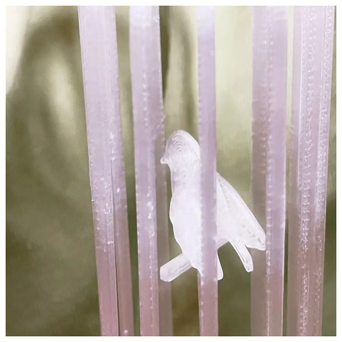 cage bird toy for parrots small birds interactive play
