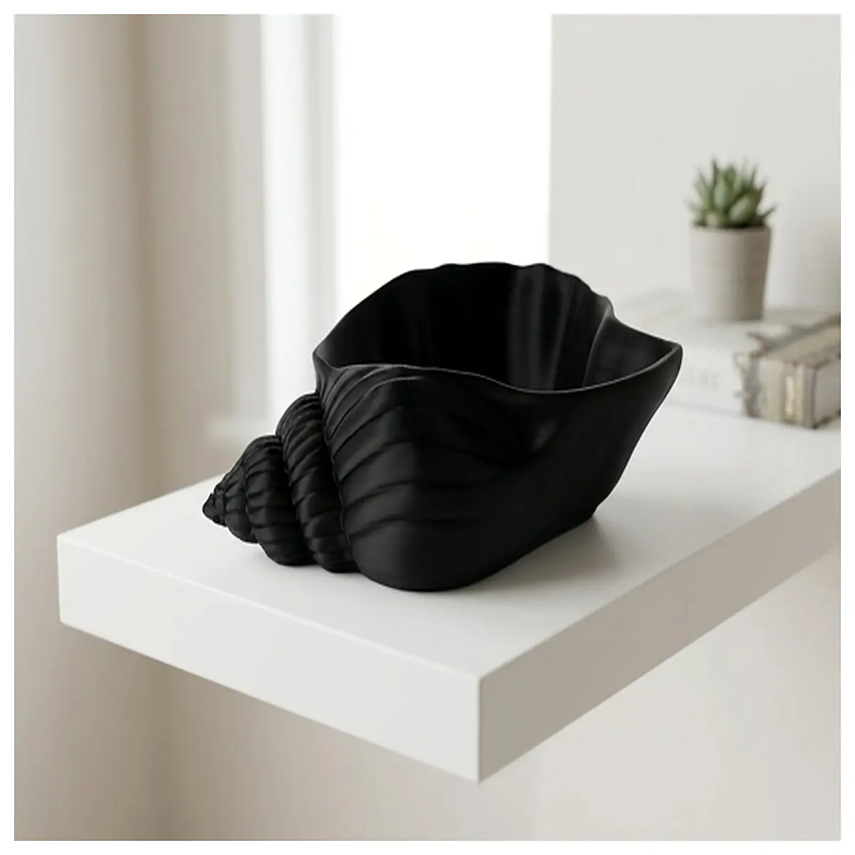 Conch Shell Bowl Decorative Storage Accent Seashell Decor Home Organization Ideas Shell Bowl Shell Decoration