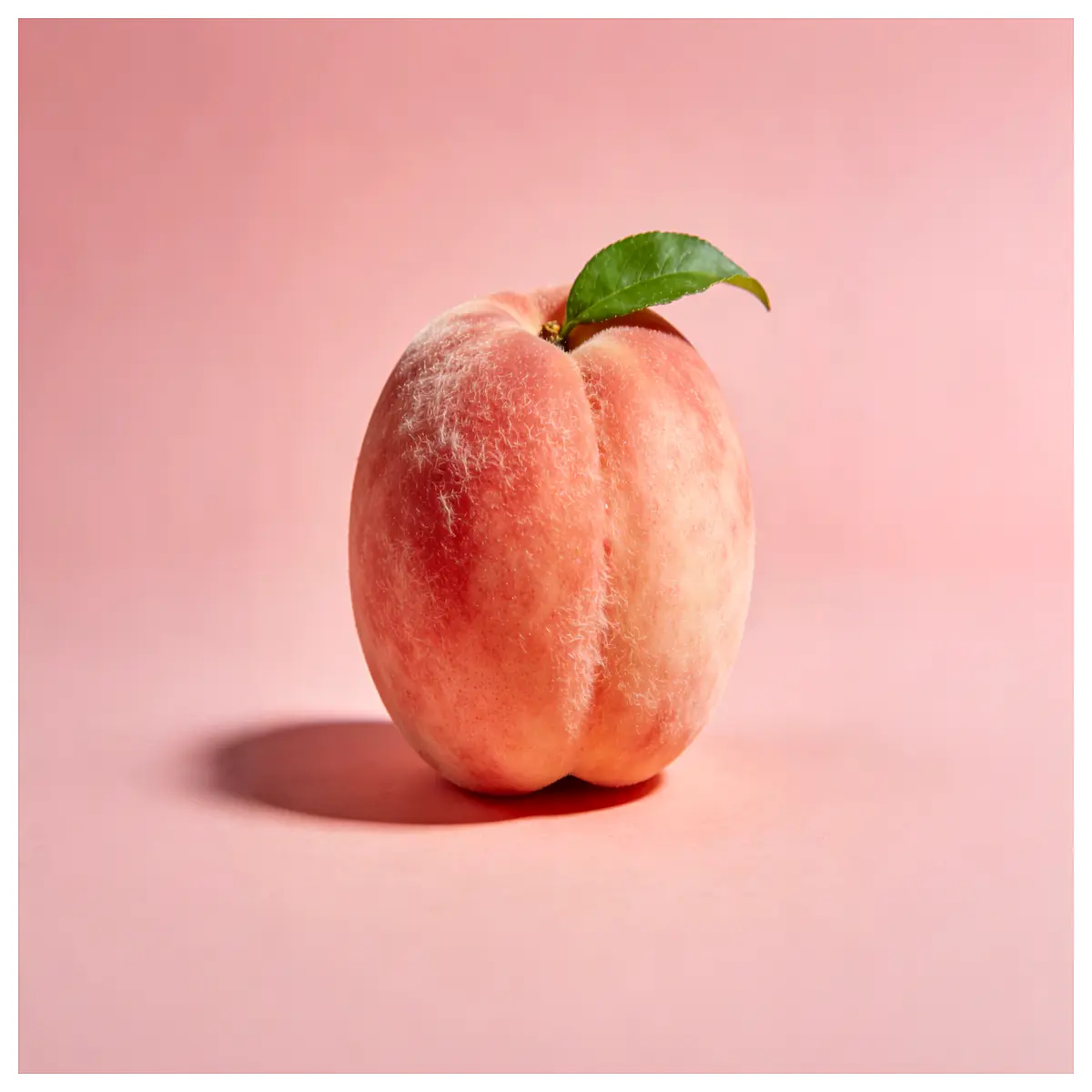 Peach Recognition Encyclopedia Kids Toy Toddler ing Book Learning Games Cognitive Development Early Education Toys