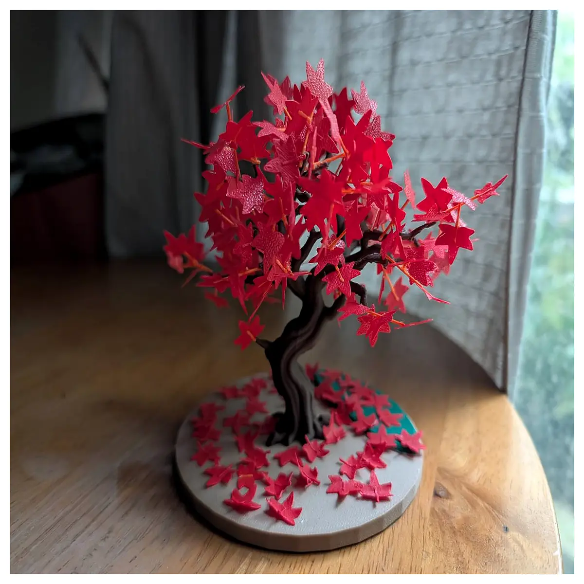 slow growing maple bonsai tree for patience training beginner friendly indoor mini maple plant with care guide stress relief gardening adults
