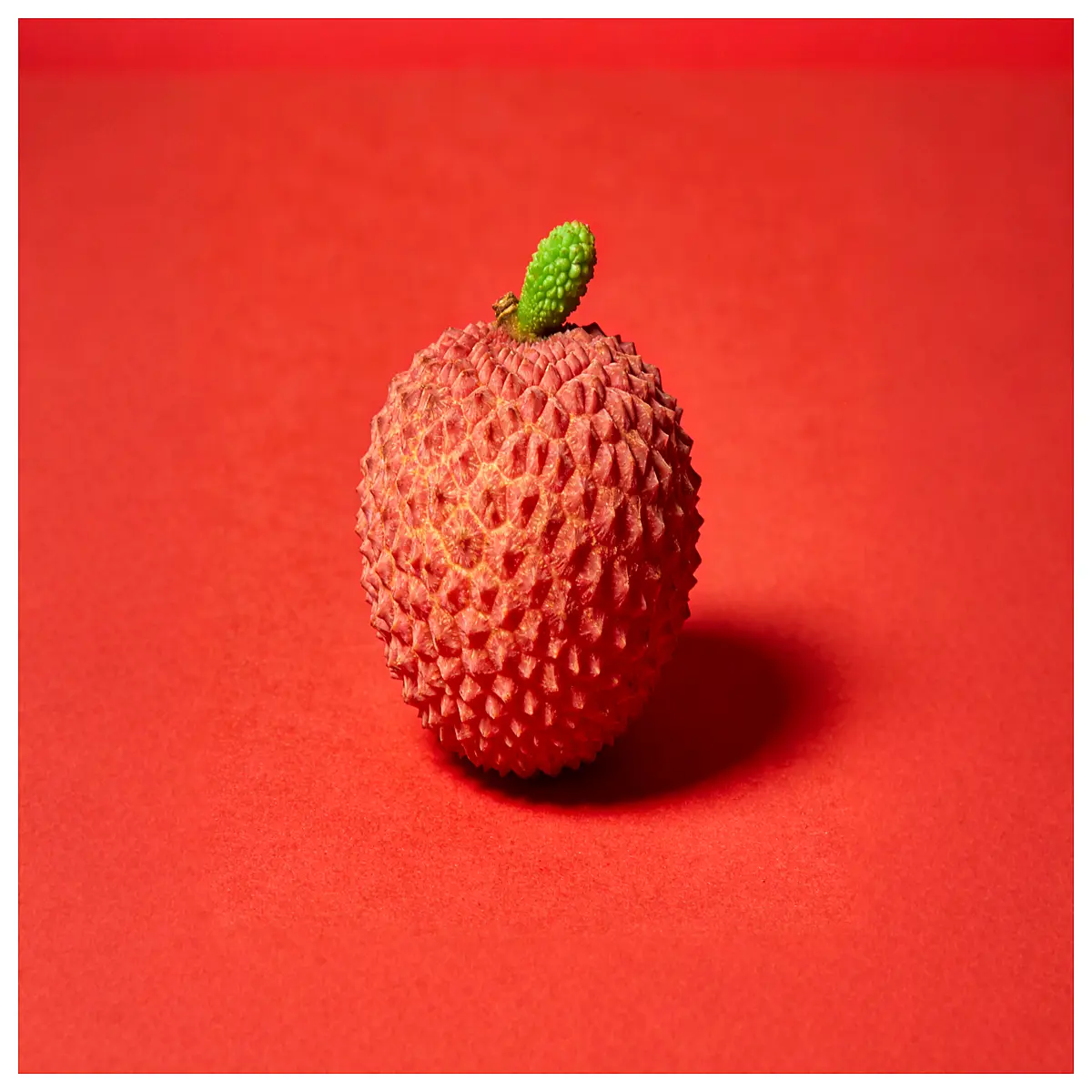 Lychee Simulation Fruit Encyclopedia Kids ing Toys Early Learning Puzzle Toys for Toddlers Fruit Playtime