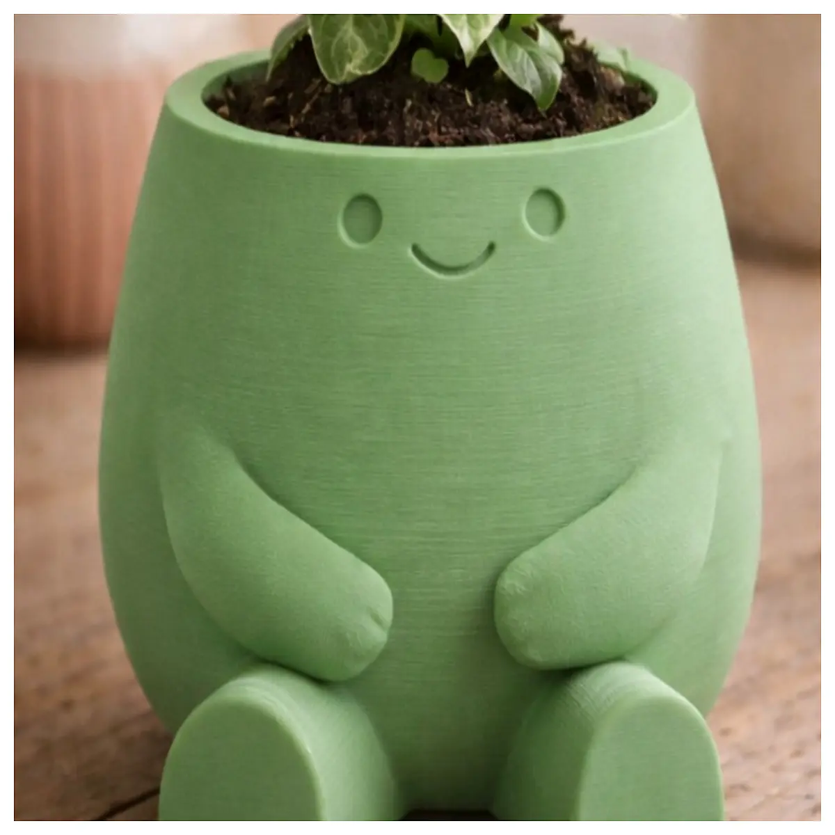 cute sitting plant pot modern minimalist home decor small succulent vase desk ornament