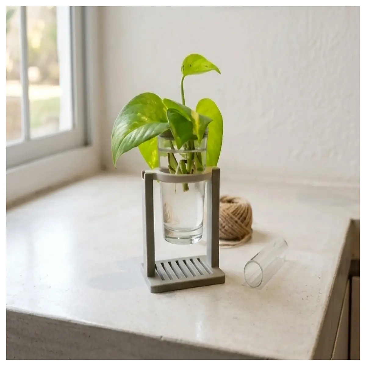 Plant Propagation Cup Stand Desktop Succulent Planter Display Rack Indoor Cactus Flower Shelf Creative Home Decor Accessory