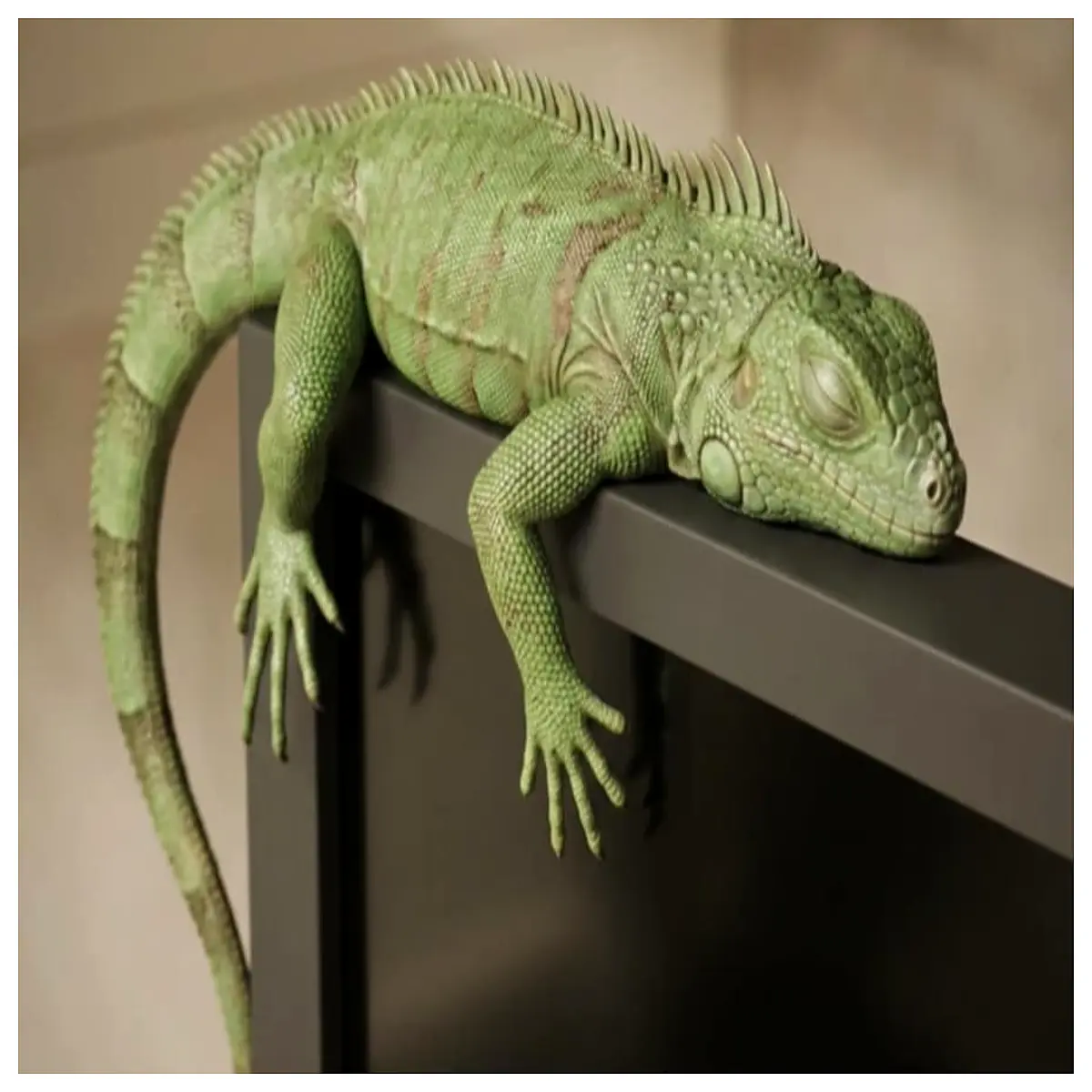 sleeping iguana statue reptile home decor sleeping lizard figurine for shelf exotic pet lover gift realistic animal art piece