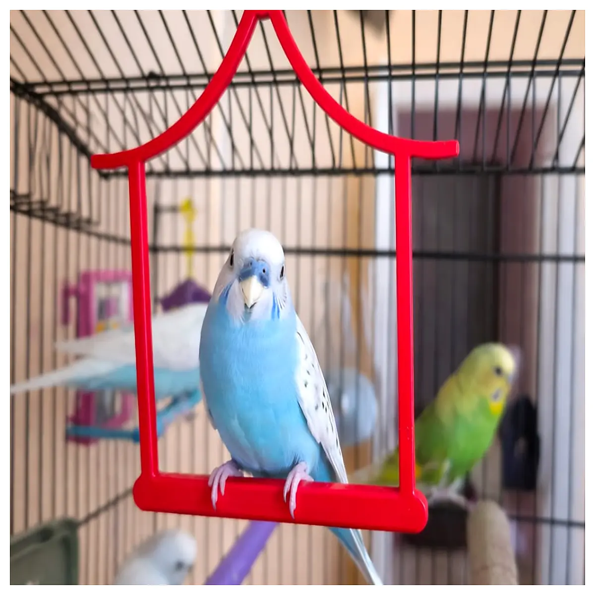 Parakeet Swing Bird Cage Swing Parrot Hanging Chair Bird Rest Seat Bird Nest Accessory Bird Toy