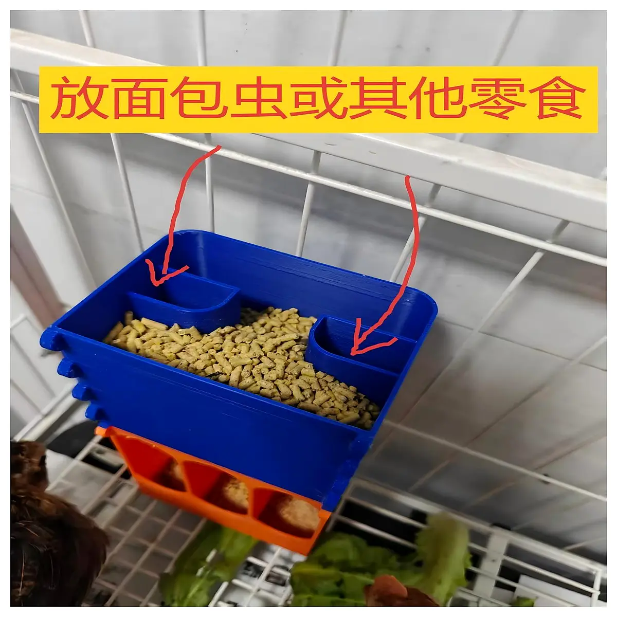 quail chick feeder anti spill hopper for small poultry coops