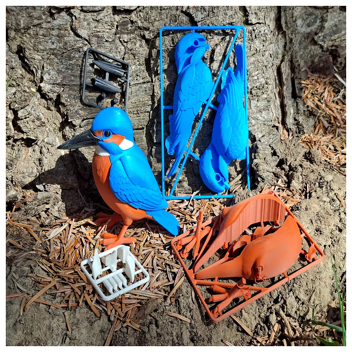 Realistic Proportional Kingfisher Card Collection Bird Model Cards Bird Toys Bird Watching Kingfisher Cards