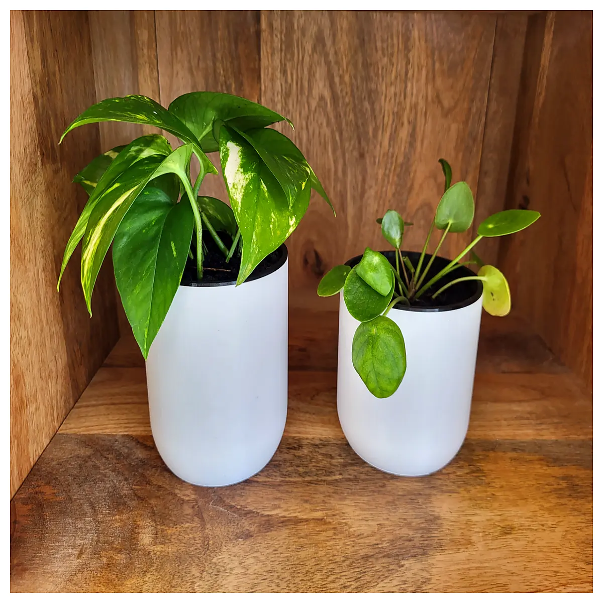 Round Planter 100150200mm Flower Pot for Garden Indoor Plants Decorative Container Versatile Planter