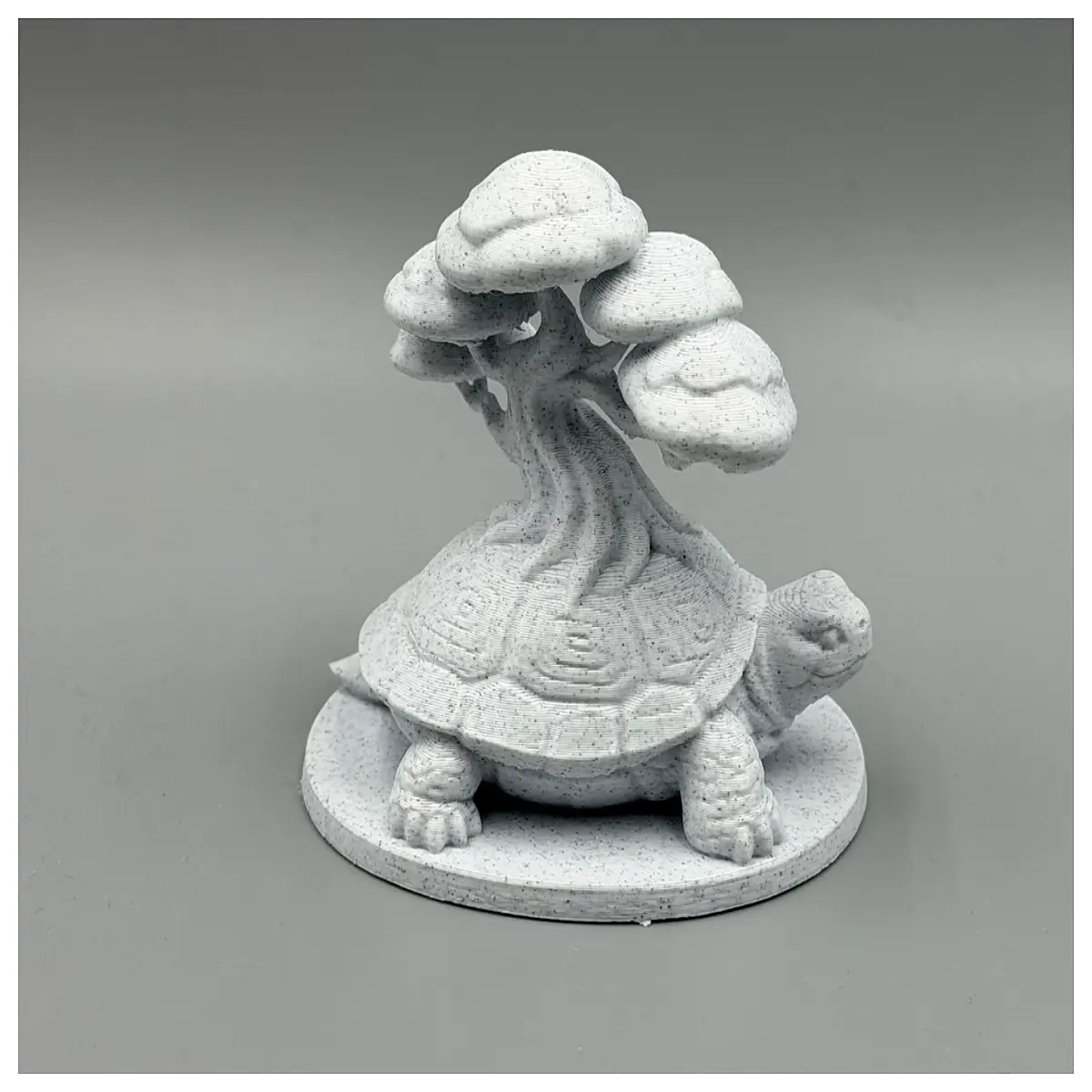 Bonsai Form Bonsai Pathway Shell Decoration Culture Art Landscape Care Supplies Bonsai Art