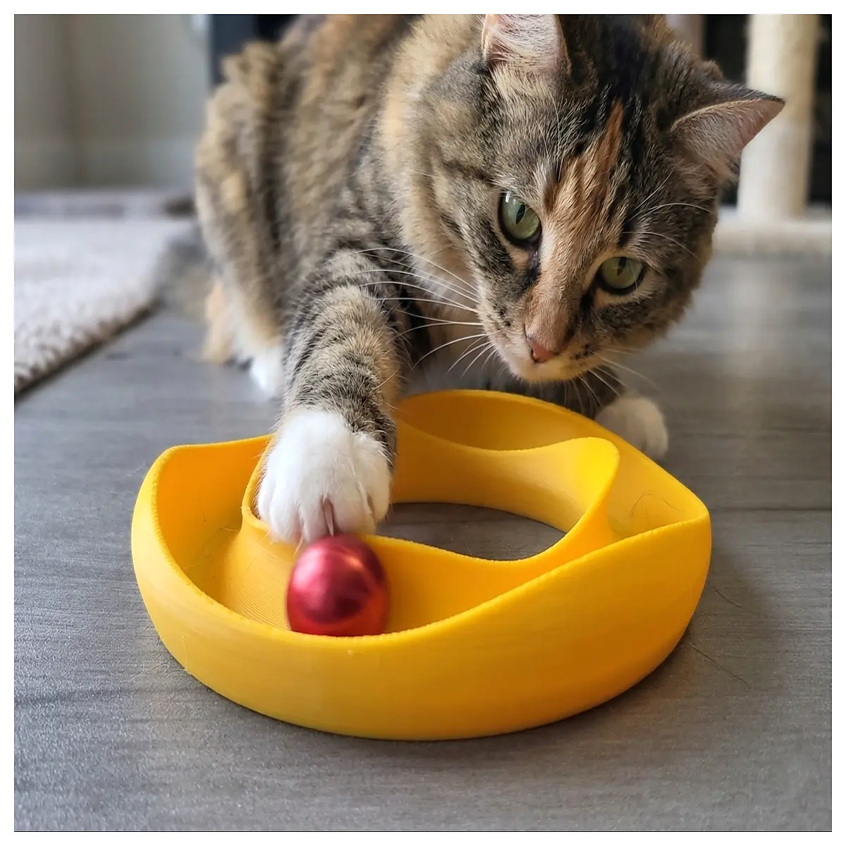 Cat Toys Wave Donut Puzzle Cat Toys Slow Feeder Cat Teaser Interactive Cat Treat Toy