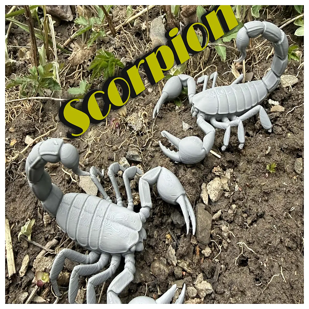 Pincer Venomous Predator Insect Specimen Reptile Model Collection Research Tool Animal Toy Kids Education Insect Collection