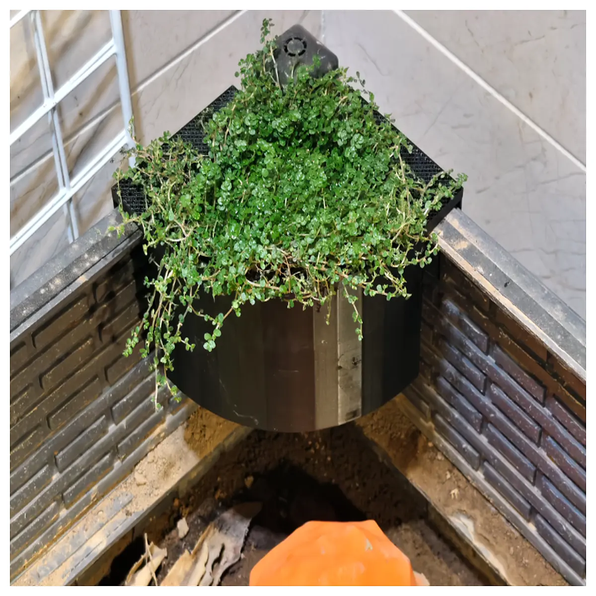 Planting Box Tank Isolation Pot Water Lettuce Hanging Plants Landscape Breathable Flower Pot Tank Isolation Pot Water Lettuce Planting B