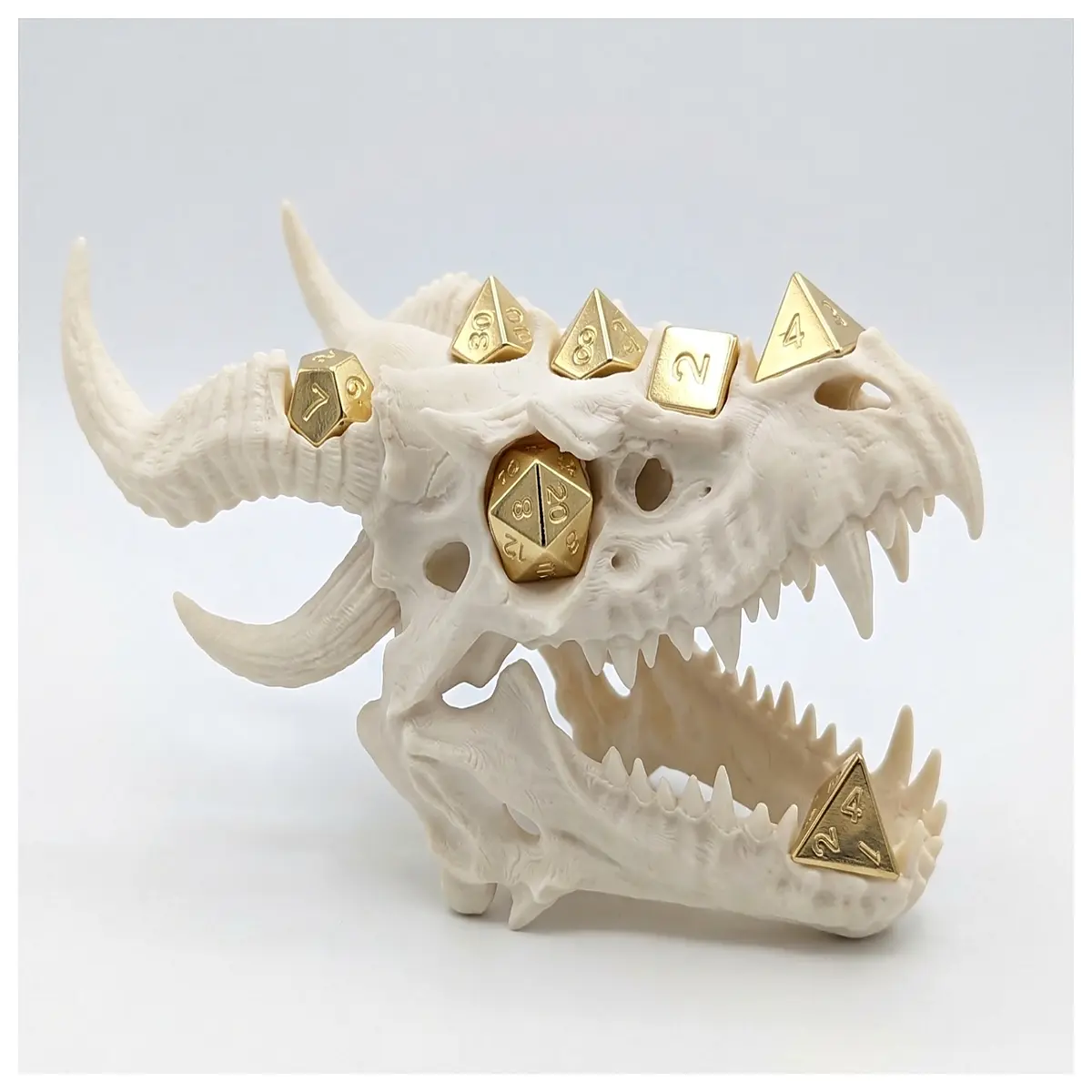Dice Display Ancient Dragon Skull Dragon Dice Game Accessories Tabletop RPG Collectible Dragon Theme