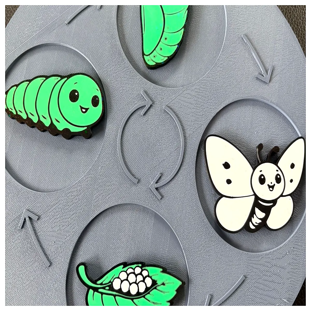 Life Cycle Explained Larva Chrysalis Stages Learn Development Metamorphosis