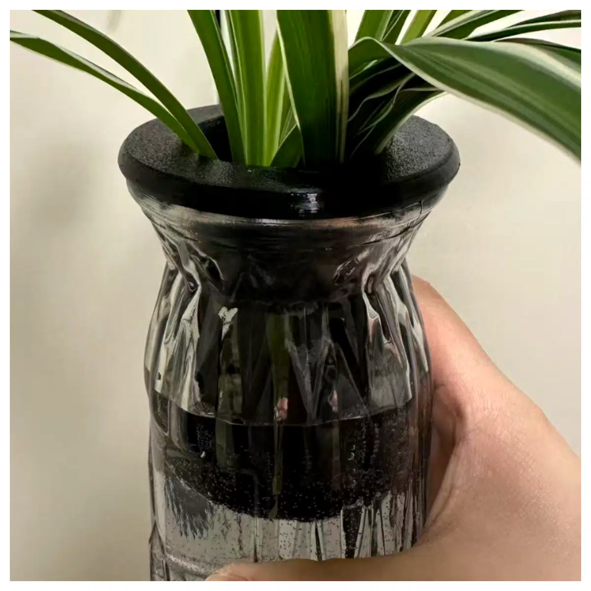 Hydroponic Inner Pot Flower Vase Base Planting Container Grow Tray Pots Easy to Clean Suitable for Various Vases