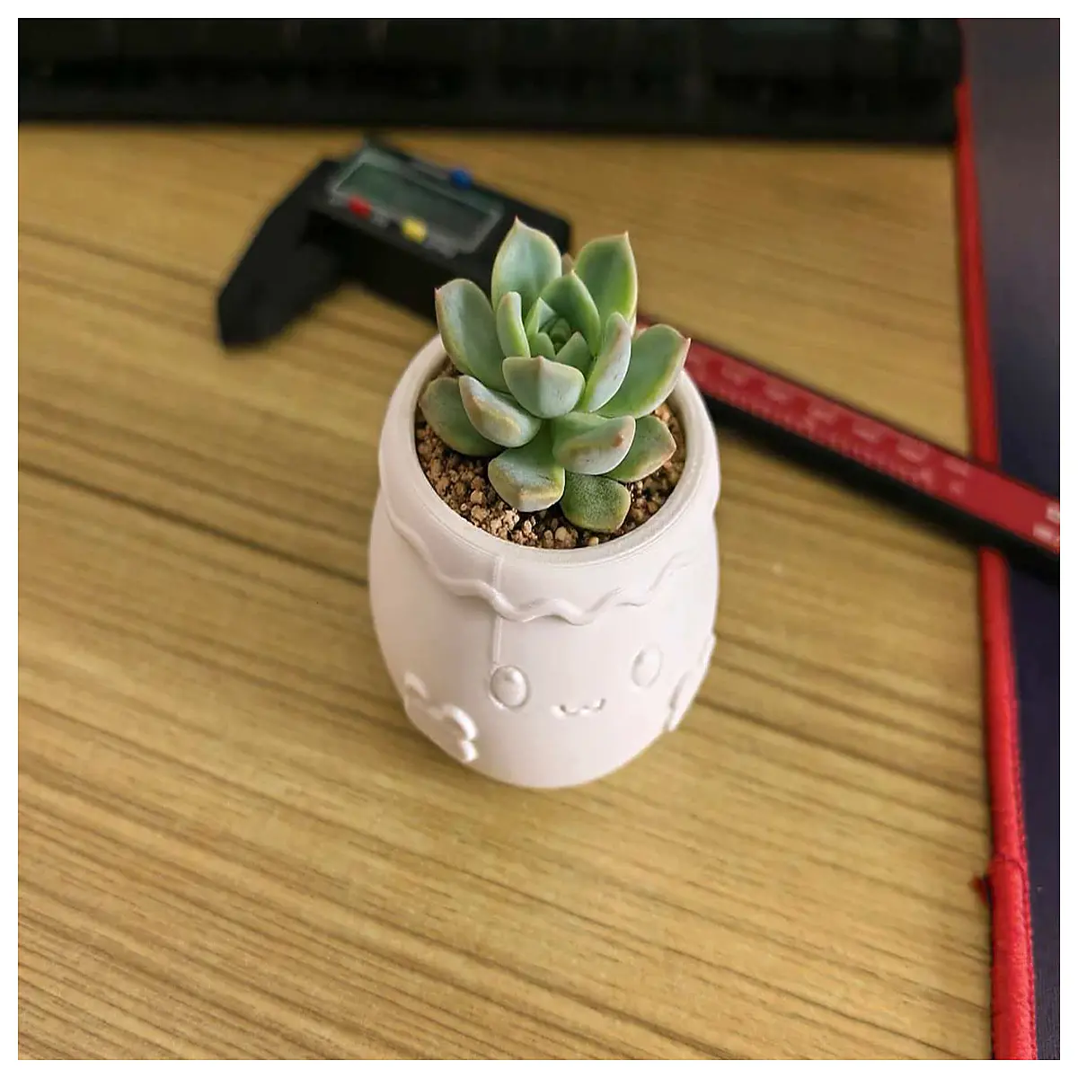 small ceramic succulent pots with drainage holes for indoor desk plants mini flower containers for cactus and air plants