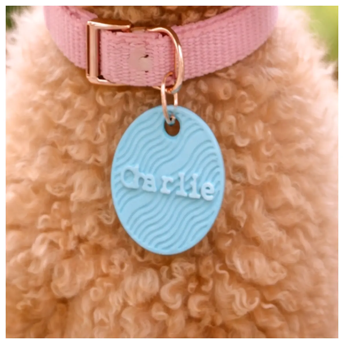 custom round dog tag with name and phone number engraved pet id disc for collar stainless steel circular identification plate