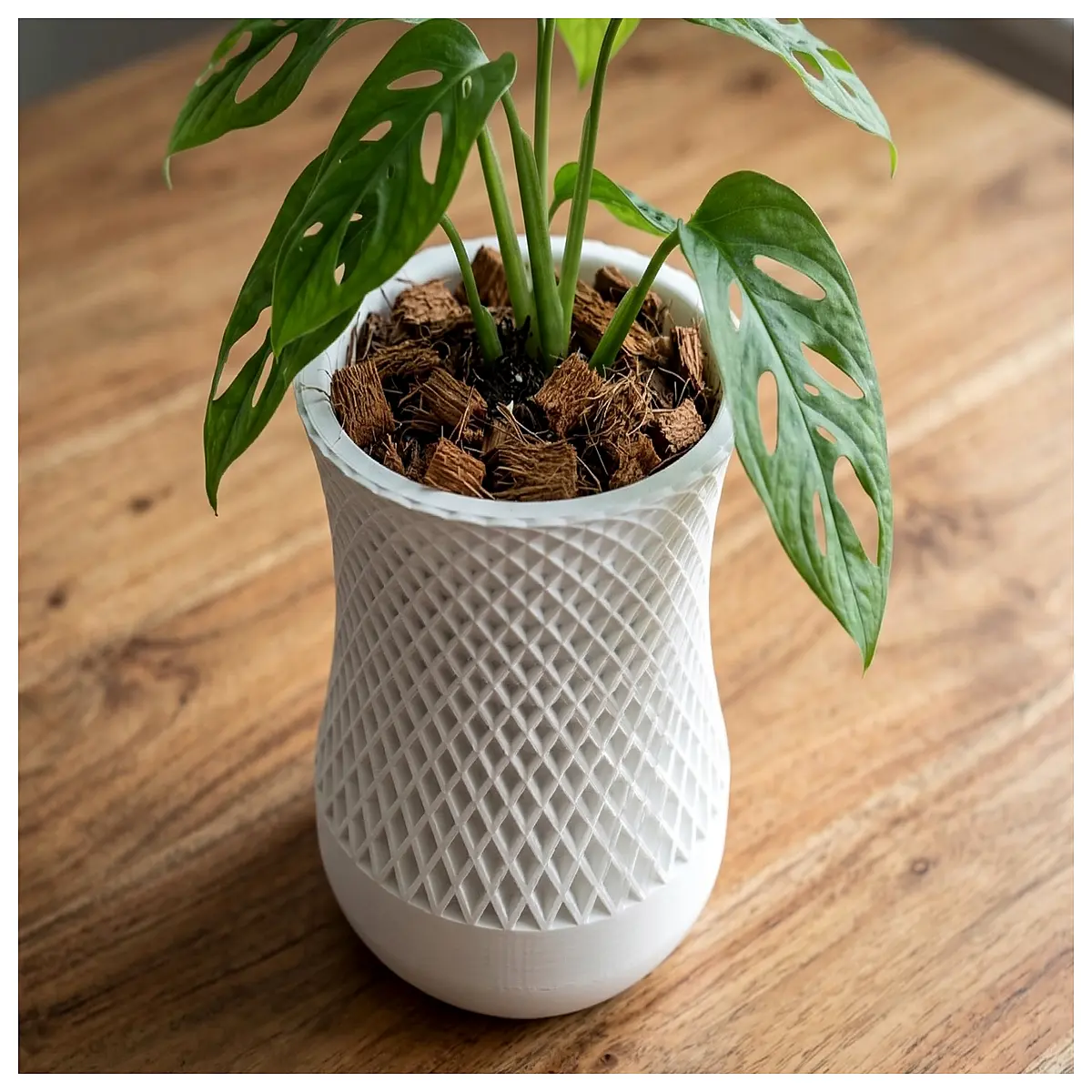 self watering planter pot with grid reservoir root health air pruning nursery supplies