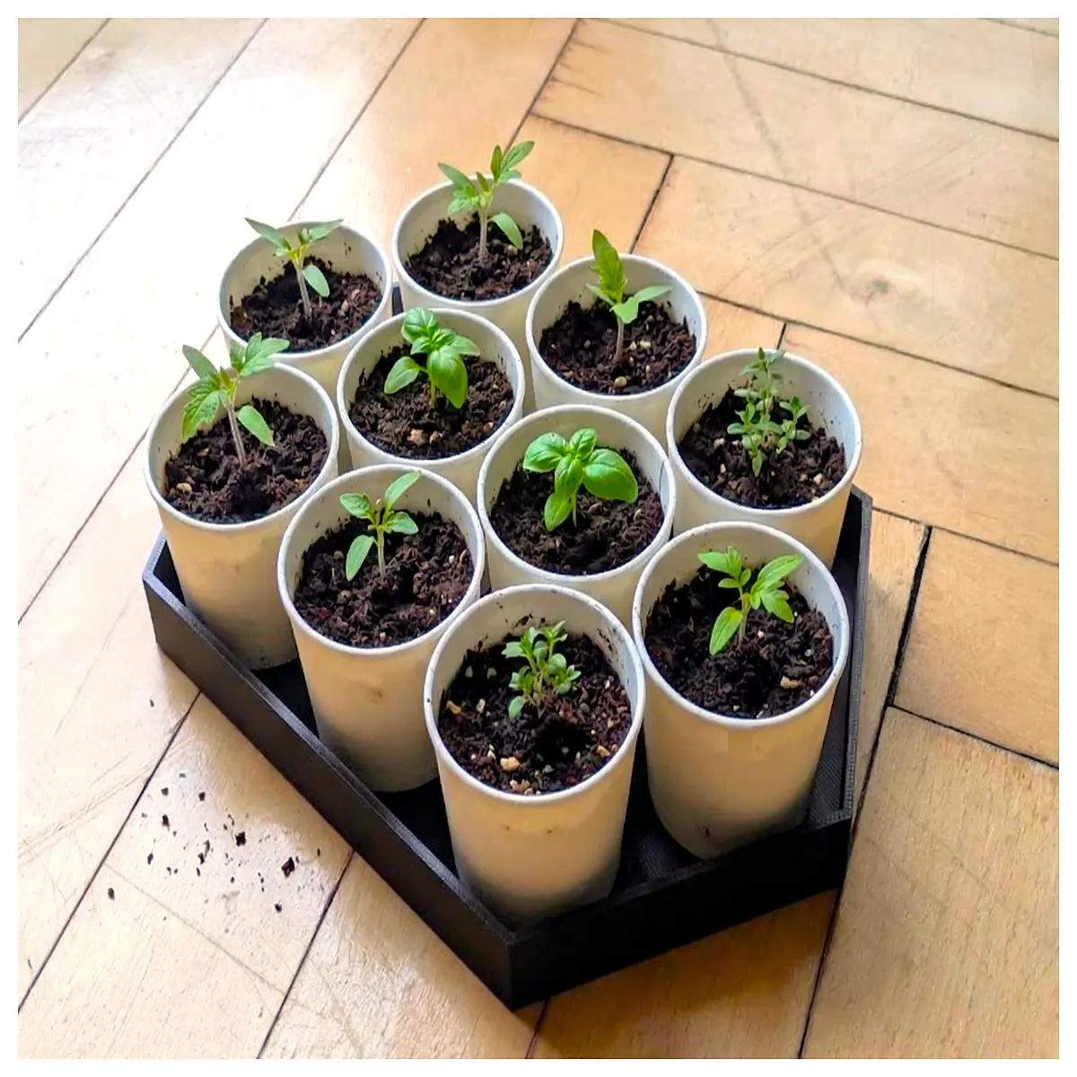 self watering planter pots with reservoir for indoor plants automatic drip irrigation system for garden retention soil saver