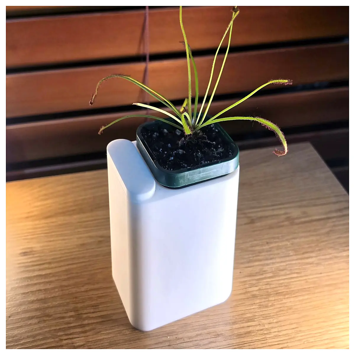 self watering planter pot 60mm small automatic irrigation indoor succulent cactus container mini garden decor