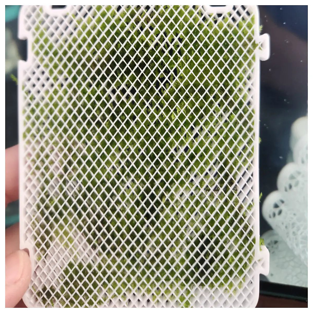 mosquito netting for windows diy mesh repair insect screen tape roll