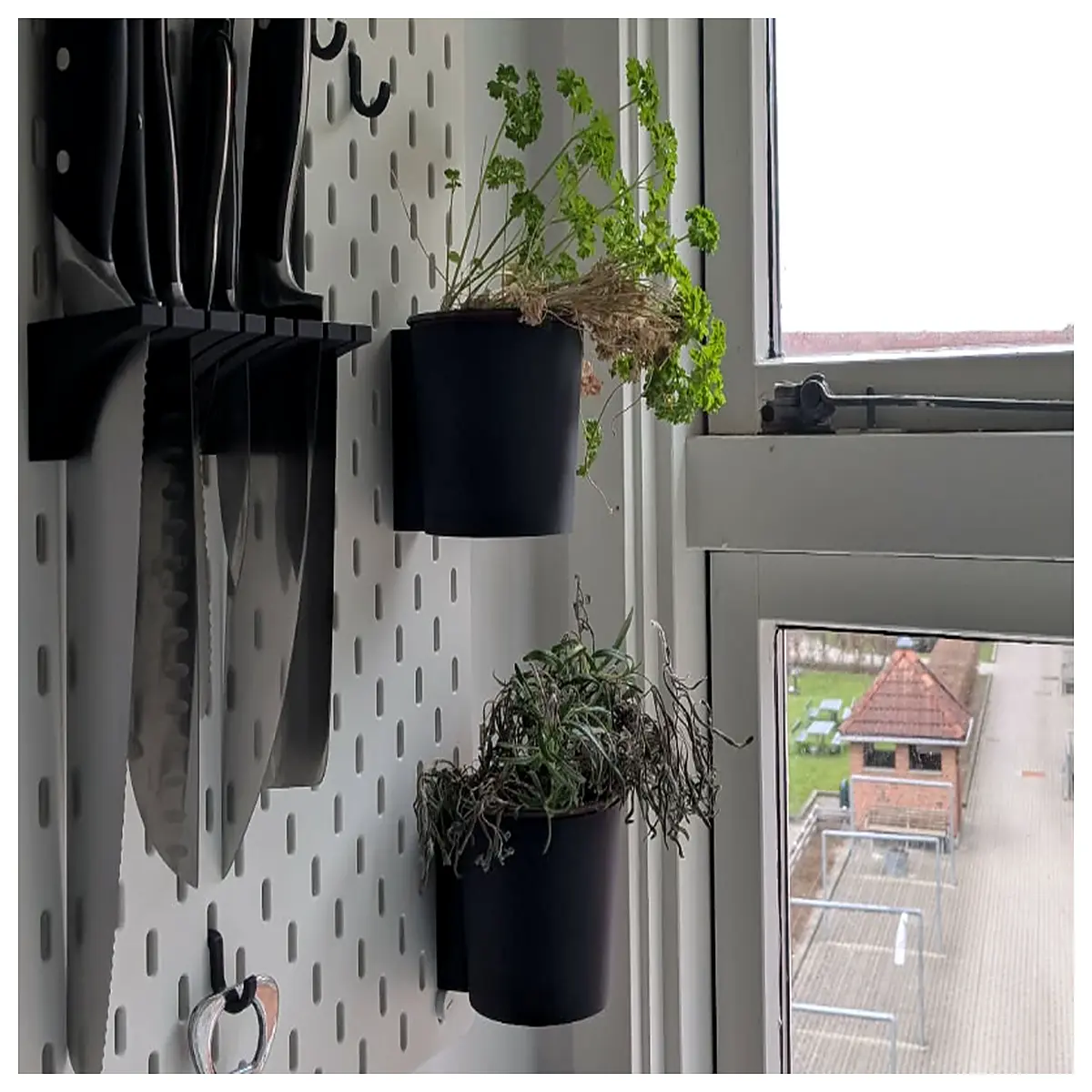 wall mounted herb garden organizer for kitchen windowsill space saving spice rack storage