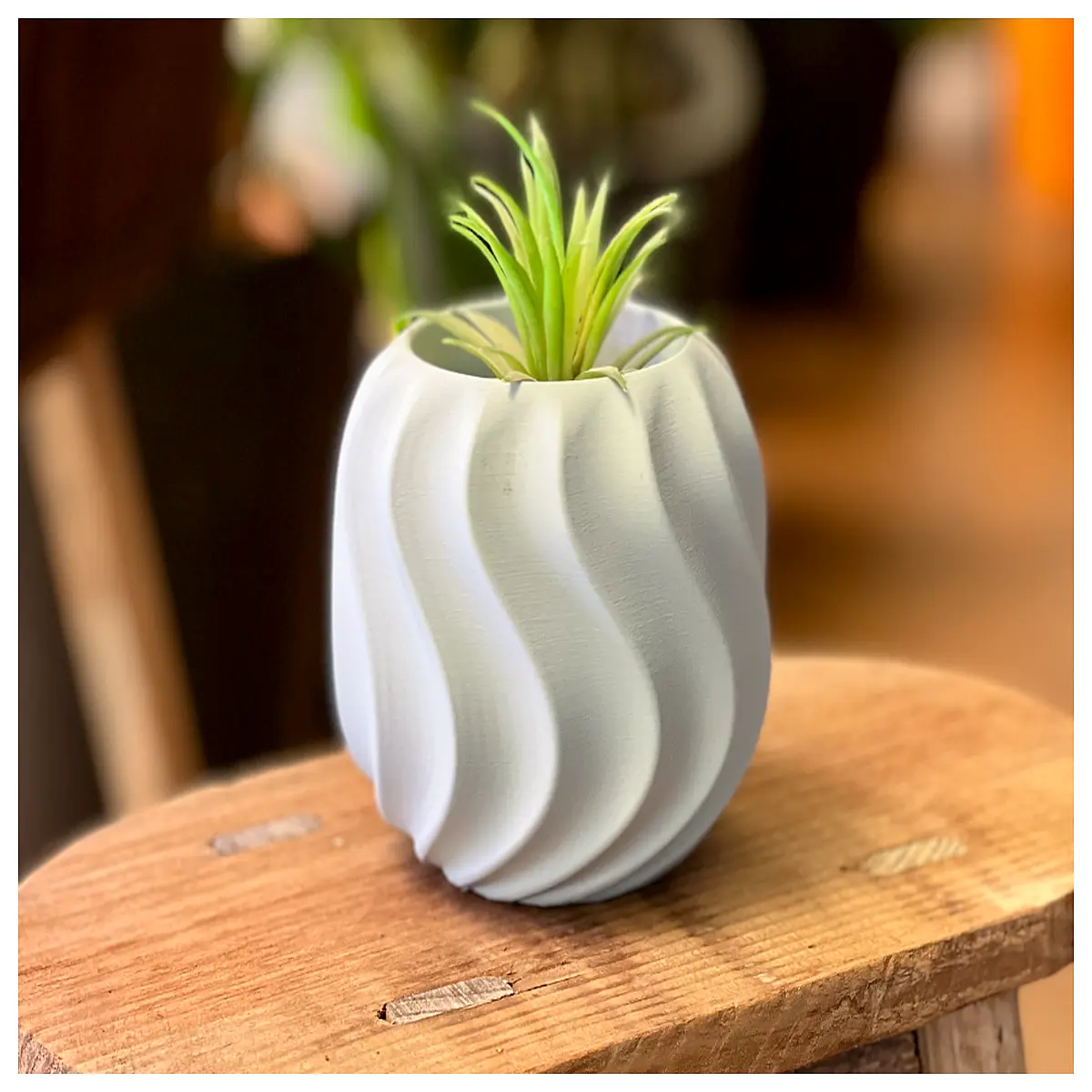 cactus ribbed ceramic pot succulent planter with drainage indoor outdoor decorative gardening container