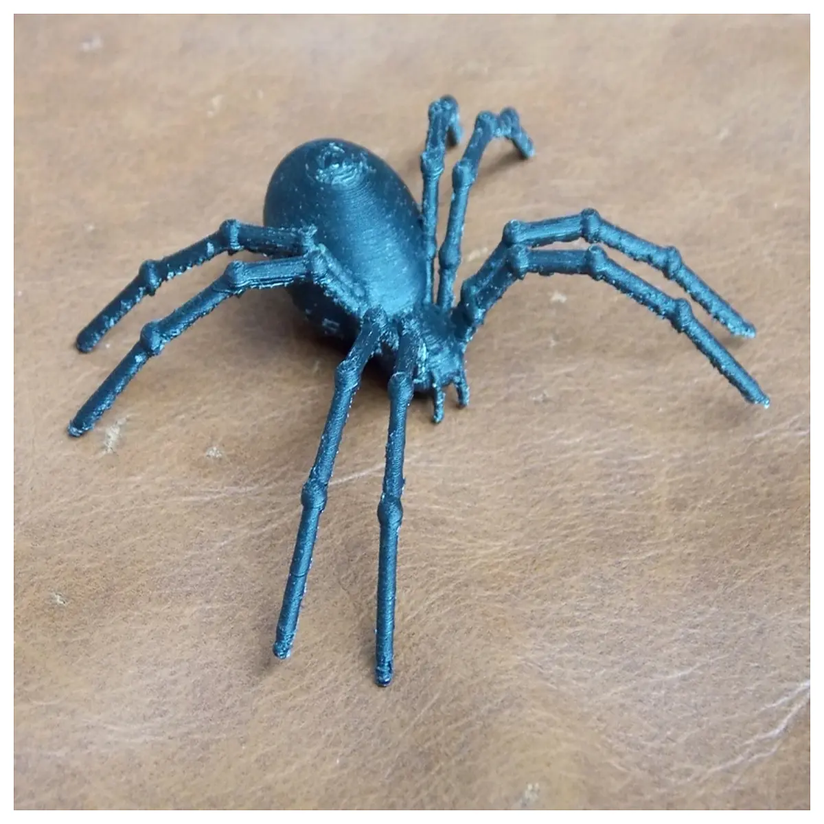 black widow spider real life venomous arachnid facts dangerous black spiders identification guide