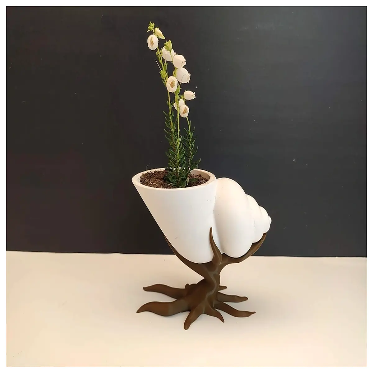 shell shaped ceramic planter for bonsai tree small succulent pot decorative garden ornament