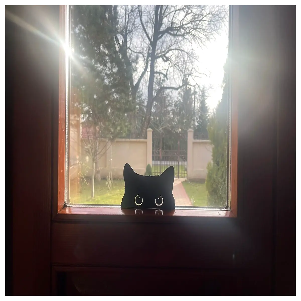 hole cover decor window privacy mesh cute animal face sticker for cat door
